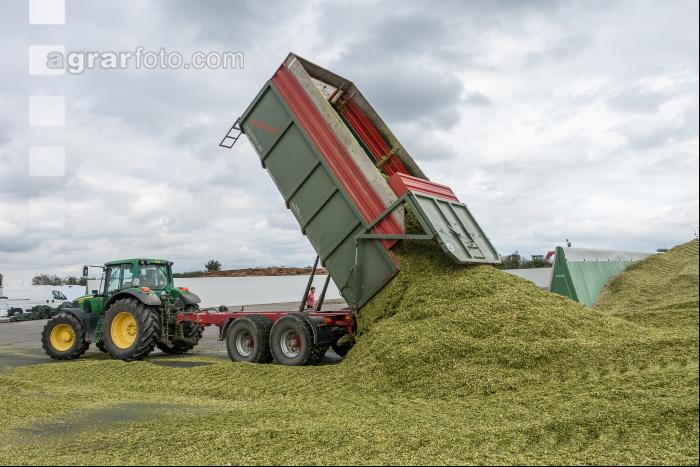 Silomais Silage 85