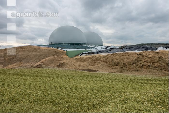 Silomais Silage 93