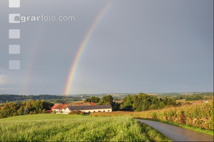 Regenbogen 4