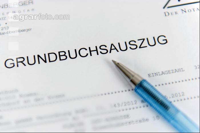 Grundbuchauszug 1