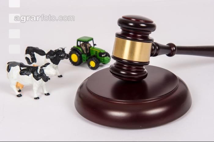 Versteigerung Landwirtschaft 12
