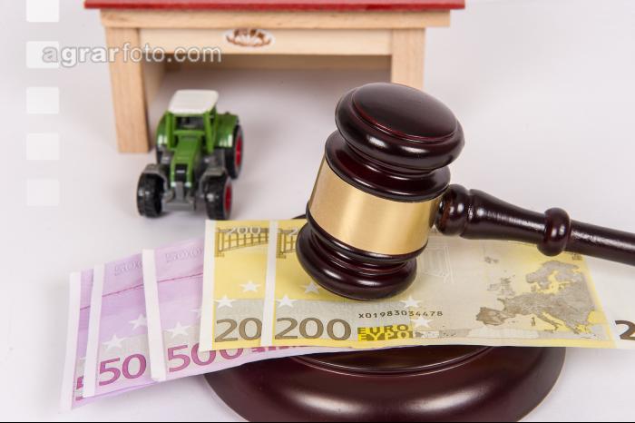 Versteigerung Landwirtschaft 8