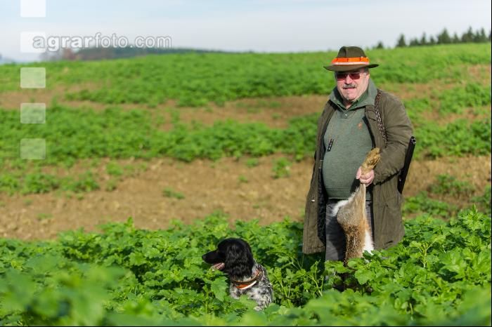 Jäger und Hund 6