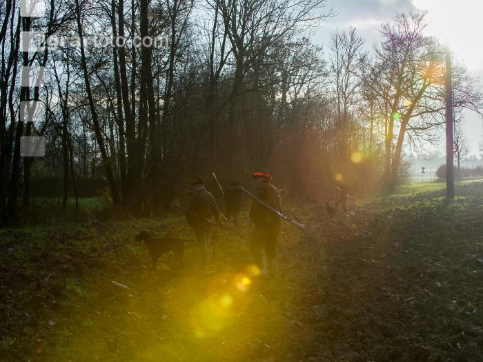 Jäger im Gegenlicht 3