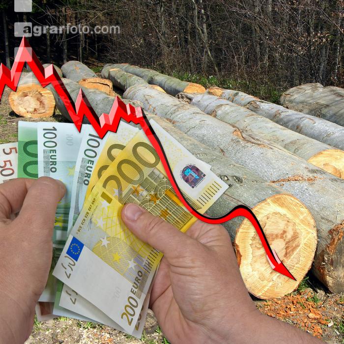 Buche Preis fällt