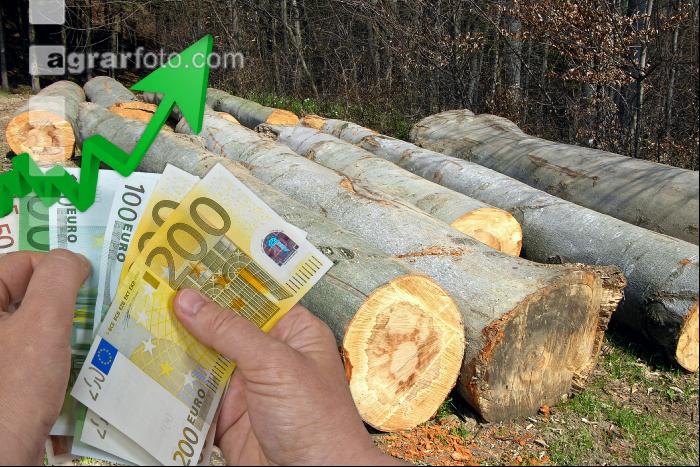 Buche Preis steigt