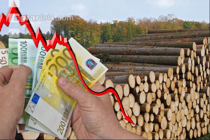 Kiefer Preis fällt