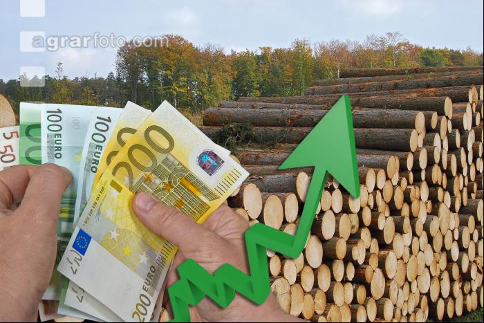 Kiefer Preis steigt