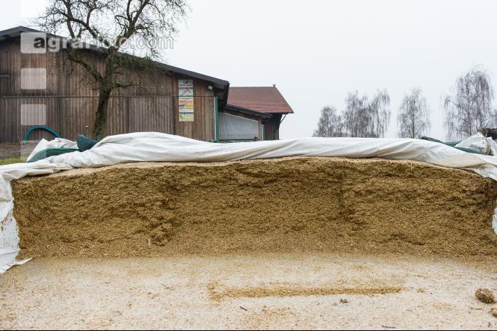 Fahrsilo Maissilage