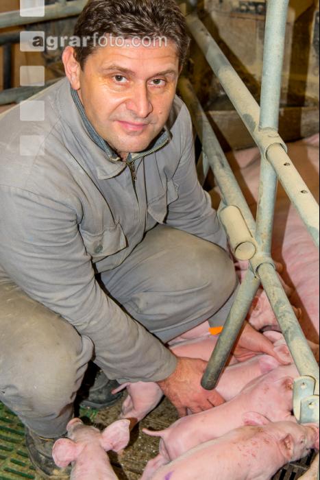 Ferkel Betreuung 46