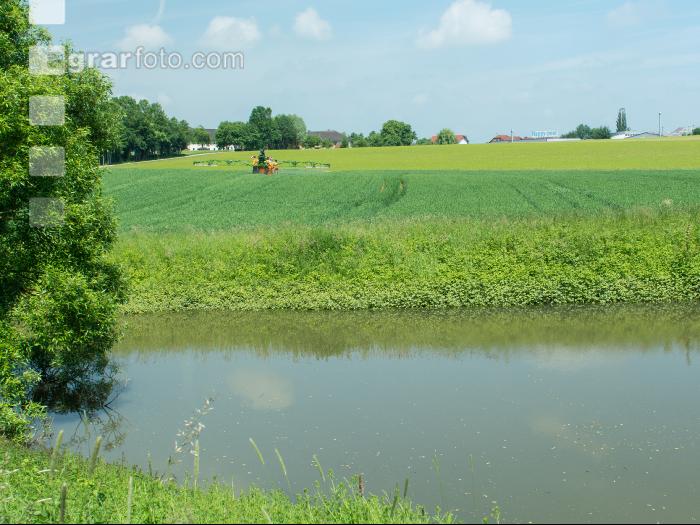 Fischteich 3