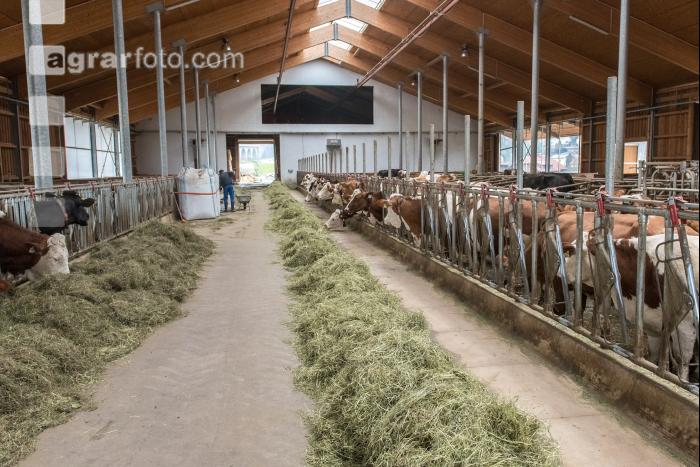 Grascobs Fütterung 38