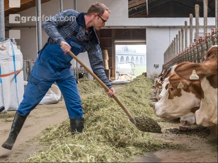 Grascobs Fütterung 27