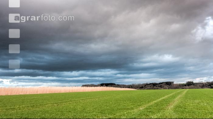 Wolkenstimmungen im April 19