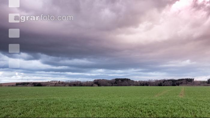 Wolkenstimmungen im April 17