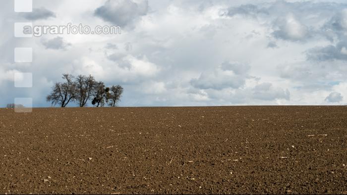 Wolkenstimmungen im April 13