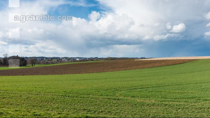 Wolkenstimmungen im April 9