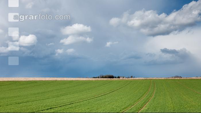 Wolkenstimmungen im April 8