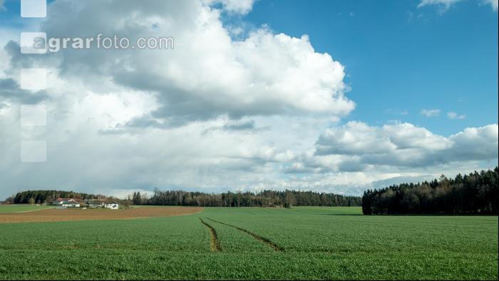 Wolkenstimmungen im April 3