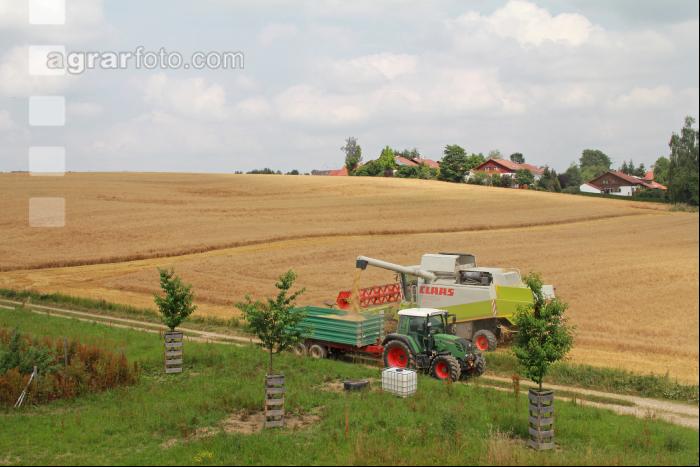 Gerste Ernte J 87