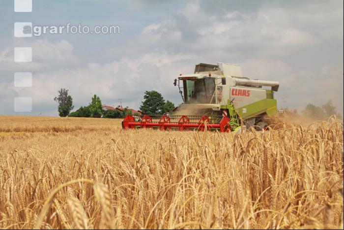 Gerste Ernte J 85
