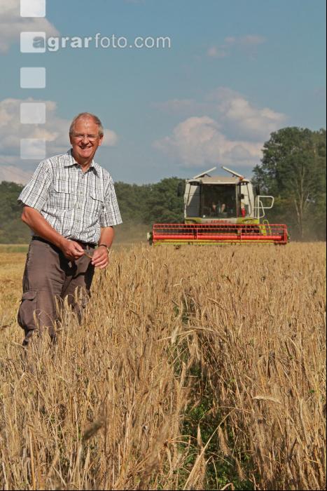 Roggen Ernte J 11