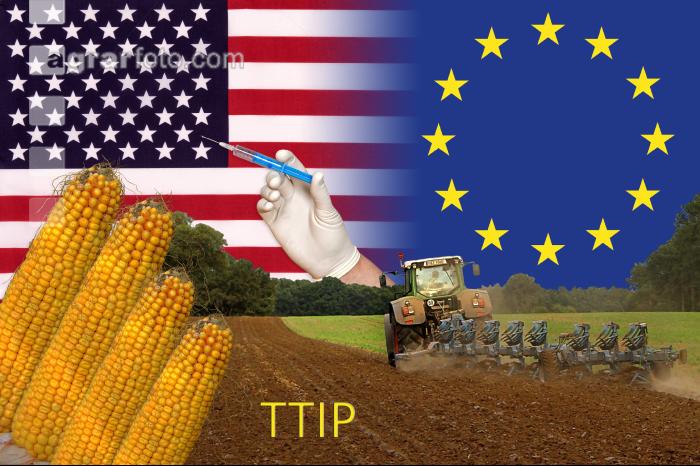 TTIP 1