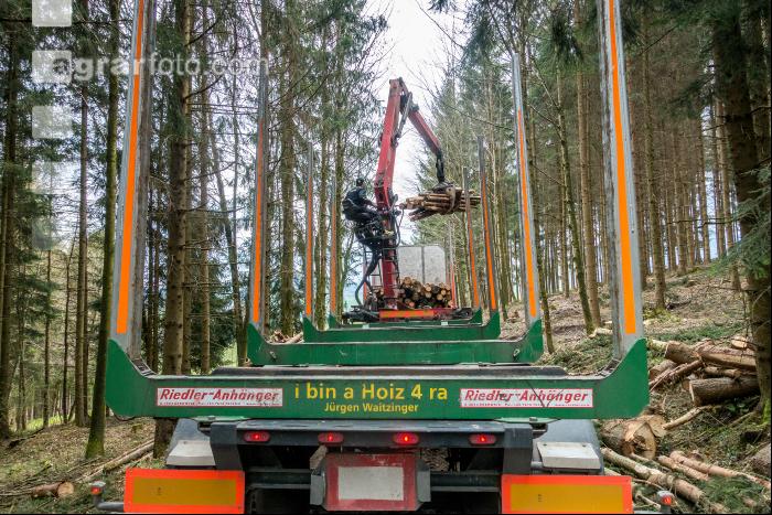 Schleifholz aufladen 8