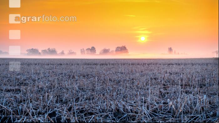 Morgenrot und Frost 1
