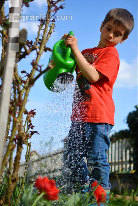 Watering 14