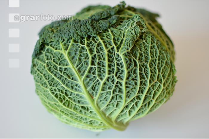 Kohl