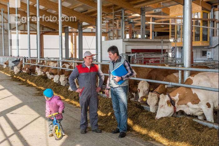 Beratung im Milchviehstall 15