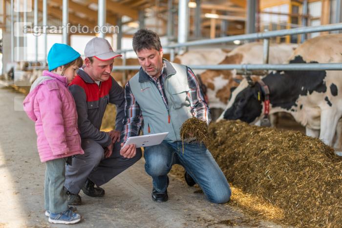 Beratung im Milchviehstall 19