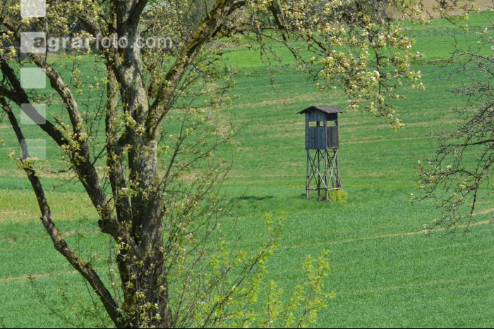 Hochstand 17