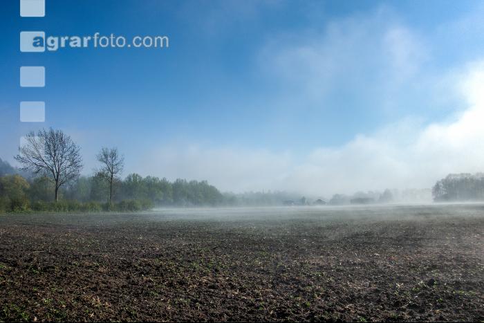 Morgennebel und Sonne 1