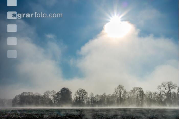 Morgennebel und Sonne 2