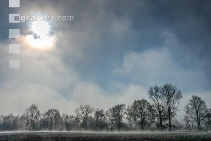 Morgennebel und Sonne 6