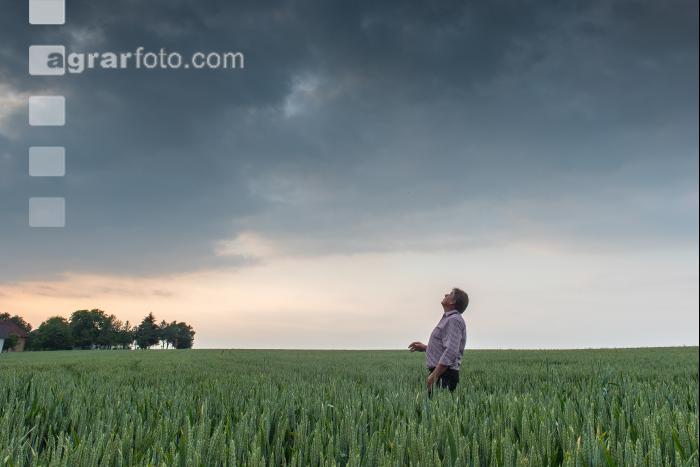 Gewitter kommt 8