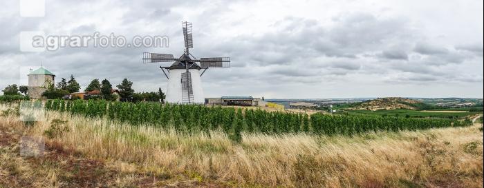 Historische Windmühle 2