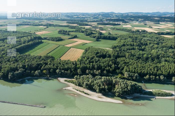 Landwirtschaft in Augebieten 3
