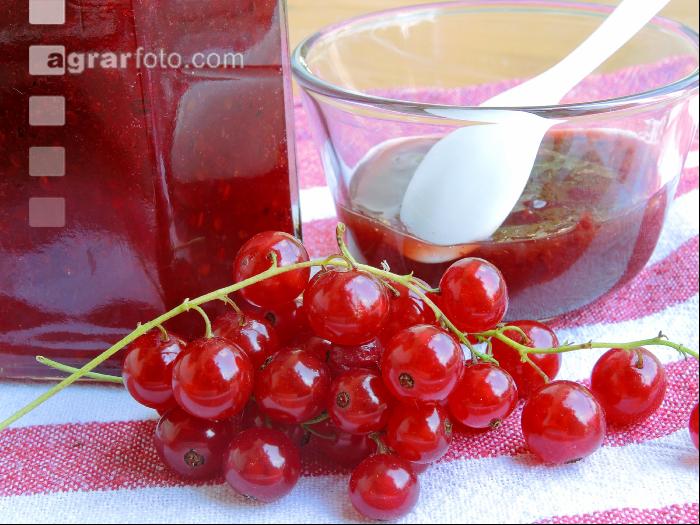 Ribiselmarmelade 1