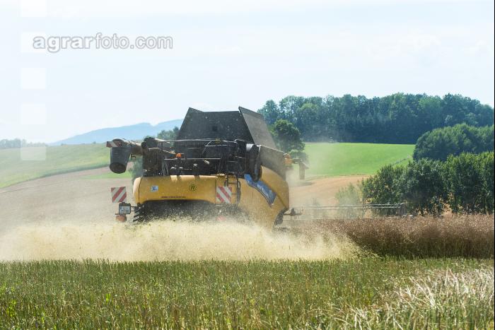 Raps Ernte 220