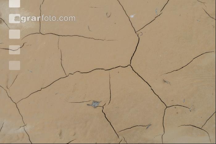 Ausgetrocknetes Flussbett 5