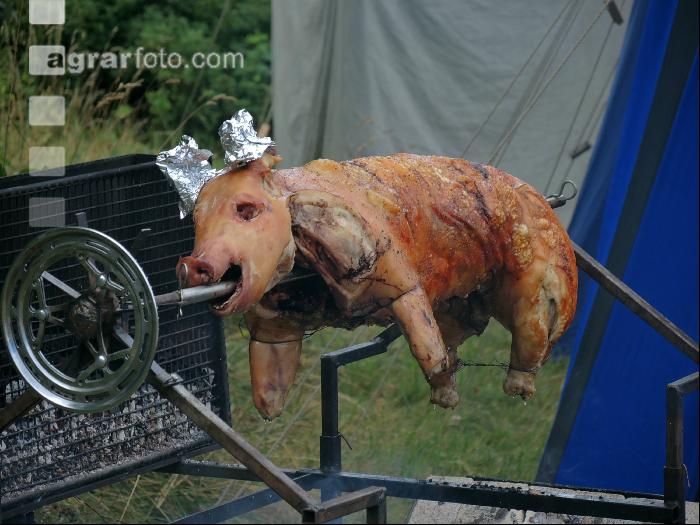 Spanferkel