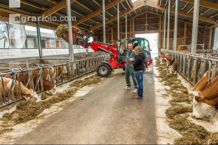 Beratung Kalbinnenfütterung 8