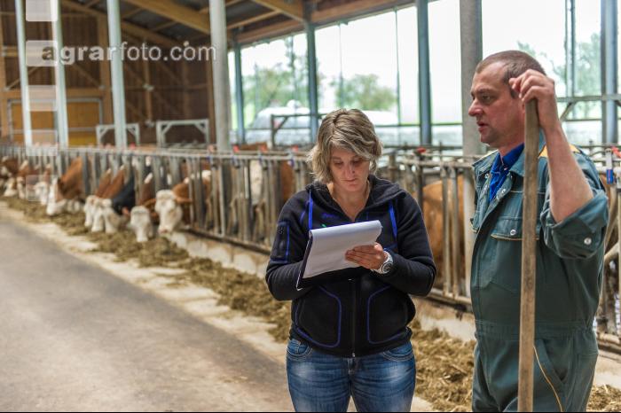 Beratung Kalbinnenfütterung 5