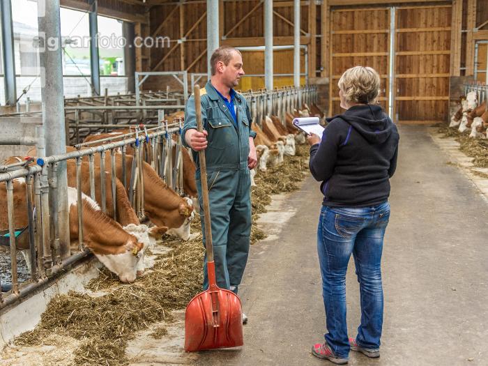 Beratung Kalbinnenfütterung 4