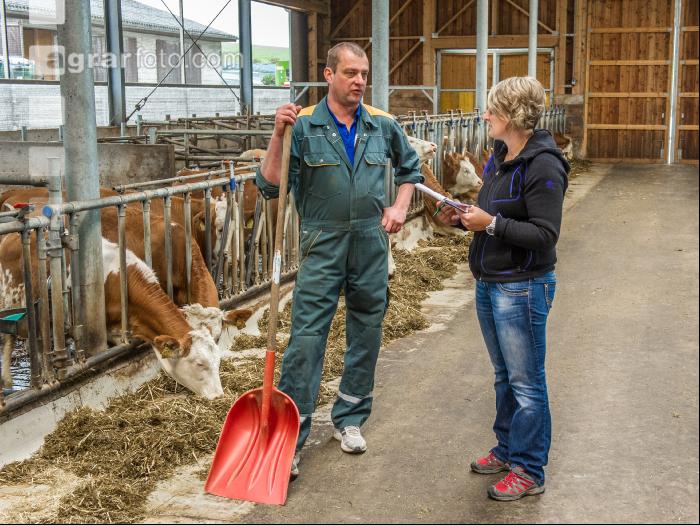 Beratung Kalbinnenfütterung 1
