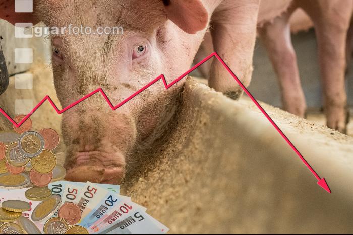 Mastschweine Preis 6