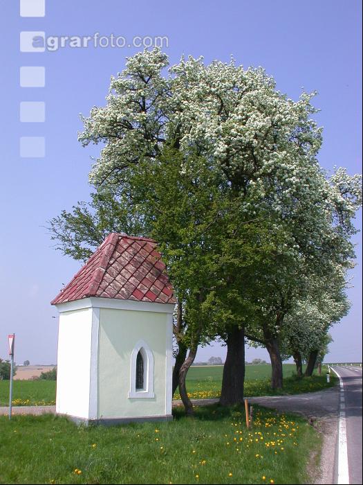 Kapellenbildstock 3
